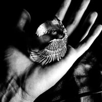 Image 1 of dead bird bracelet