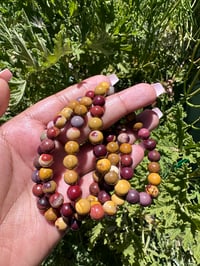 Image 1 of Mookaite