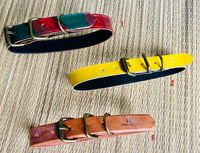 Image 3 of Small Solid Colors Dogs and Cats Collars