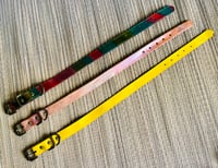 Image 4 of Small Solid Colors Dogs and Cats Collars