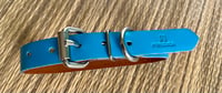 Image 3 of Xtra-Small Solid Colors Dogs and Cats Collars