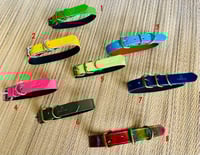 Image 2 of Xtra-Small Solid Colors Dogs and Cats Collars