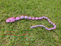 Image 3 of Snakes