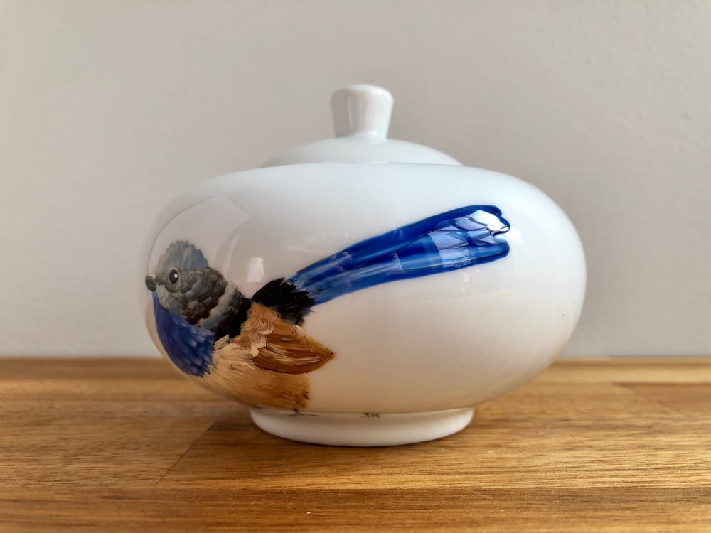 Superb Fairywren Sugar Pot