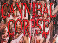 Image 8 of CANNIBAL CORPSE - The bleeding Flag (cloth poster Banner tapestry) Death metal Gore