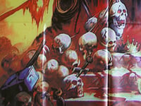 Image 5 of MANOWAR - Agony and ecstasy Flag (cloth poster Banner tapestry) Heavy Power metal