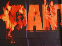 Image 2 of PANTERA - Reinventing the steel Flag (cloth poster Banner tapestry) Groove metal Anselmo Dimebag