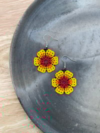 Image 4 of Colores de mi tierra 