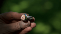 Image 7 of Mexican Fire Opal ring #2 (9.25)
