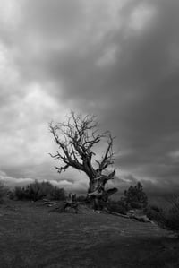 Arches Storm