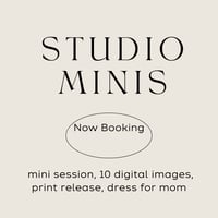 Image 1 of Fall Studio Mini Sessions 
