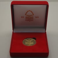 Image 5 of European Cup 1980