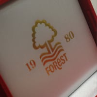 Image 4 of European Cup 1980