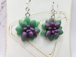 Succulent Earrings