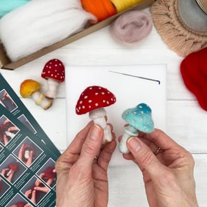 Image of Toadstool Needle Felting Kit