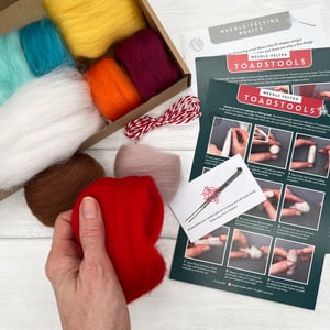 Image of Toadstool Needle Felting Kit