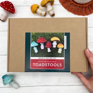 Image of Toadstool Needle Felting Kit