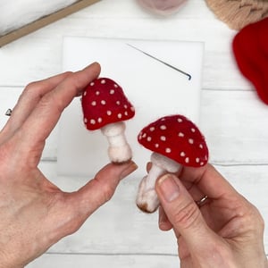 Image of Toadstool Needle Felting Kit