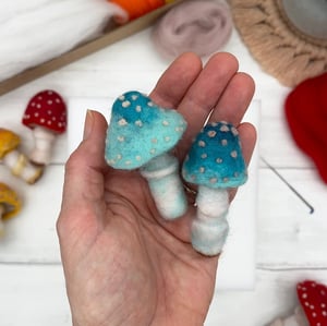 Image of Toadstool Needle Felting Kit