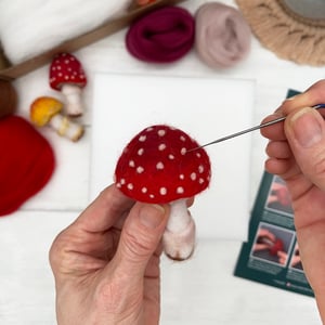 Image of Toadstool Needle Felting Kit