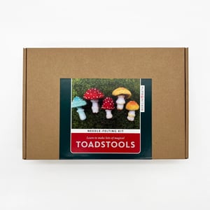 Image of Toadstool Needle Felting Kit