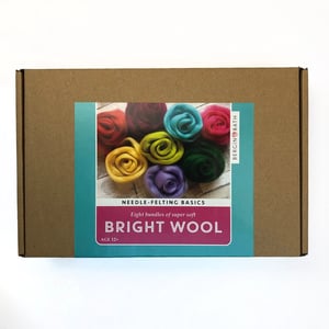 Image of Needle Felting Start Kit - Brights