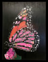 Monarch