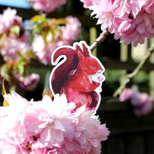 Image of Red Squirrel Brooch - Wooden Pin