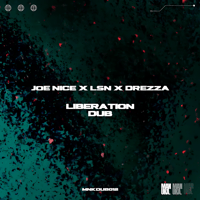 JOE NICE, LSN, DREZZA - LIBERATION DUB