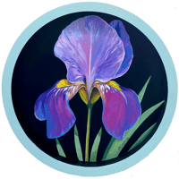 Image 1 of Sweet Iris IV