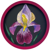 Image 1 of Sweet Iris III