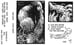 Image of #114 Shin Chida | Sticky Vanity | C36