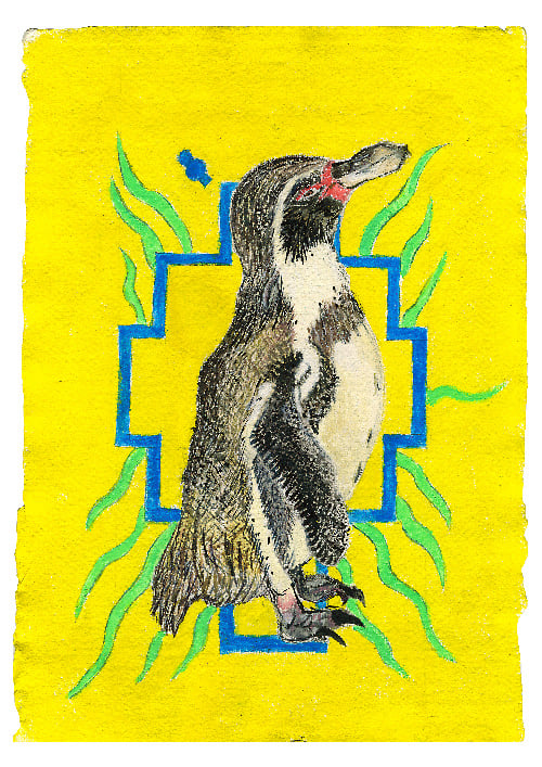 Image of Humble Humboldt Penguin 