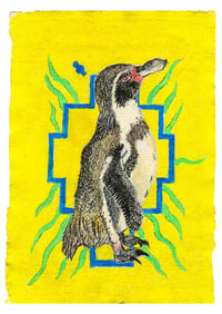 Humble Humboldt Penguin 