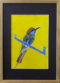 Image 2 of Green Bird Bee-Eater