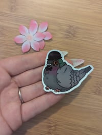 Image 2 of Gentleman Pigeon 