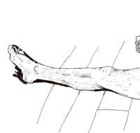 Image 3 of Stretch