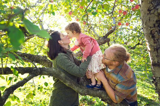 Image of Apple Orchard Mini Sessions