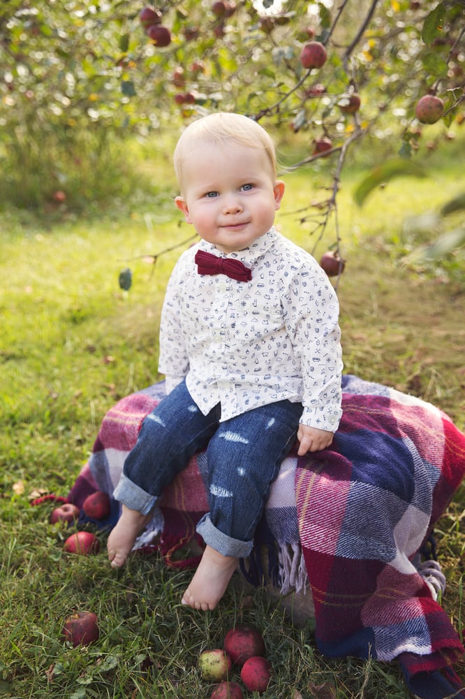 Image of Apple Orchard Mini Sessions