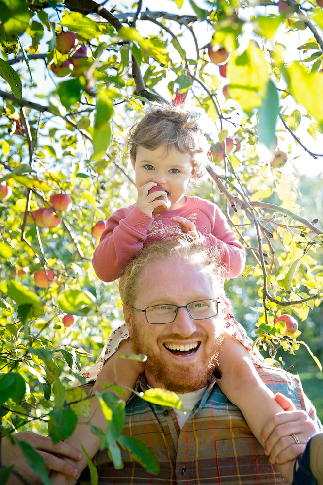 Image of Apple Orchard Mini Sessions