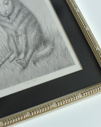 Image 4 of LONE WOLF (framed)