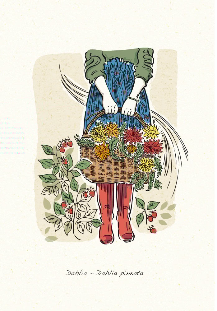 Image of Allotment grow your own, a collection of four greeting cards