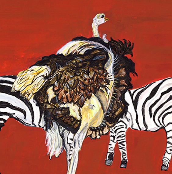 Image of Ostrich Companion 