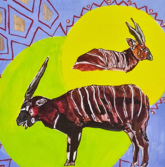 Image of Mysterious Bongo