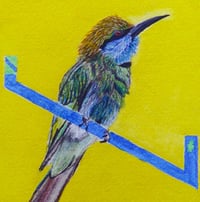 Image 1 of Green Bird Bee-Eater