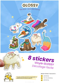 Collection GLOSSY