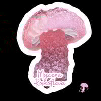 Mycena Roseoflava: Fungi Collection