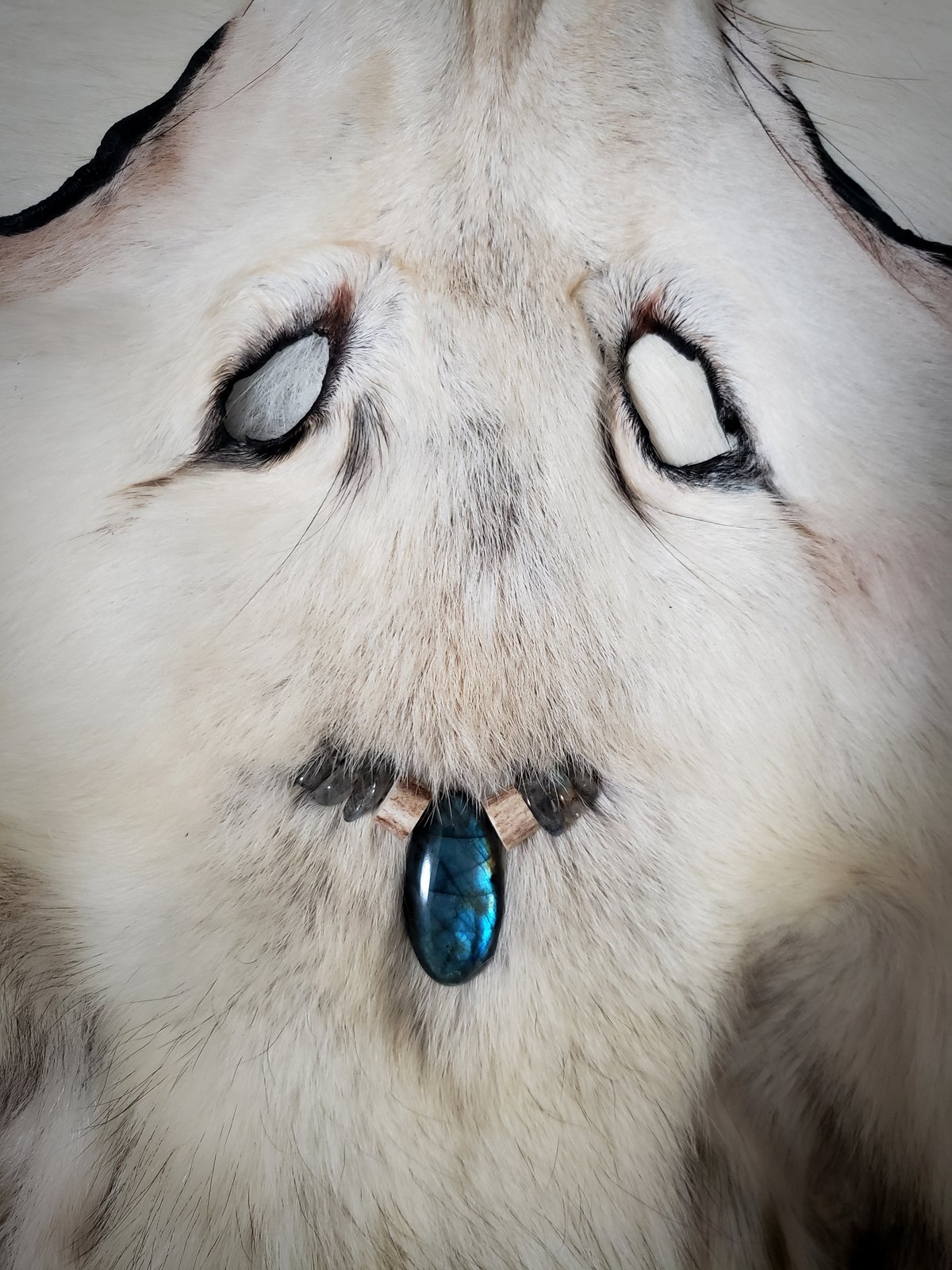 WOLF'S HEAD Ｗピン 36 Best WOLF'S HEAD ideas in 2026 | wolf's head, black cowboys