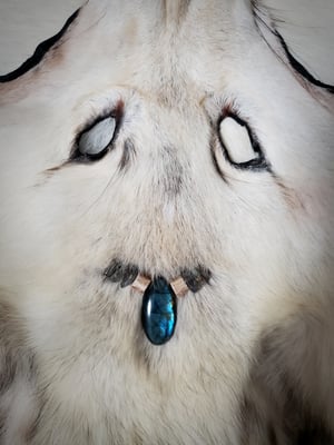 Image of Arctic Lands Wolf Head Wall Hanging