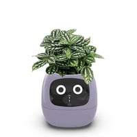 Huma Smart Planter 